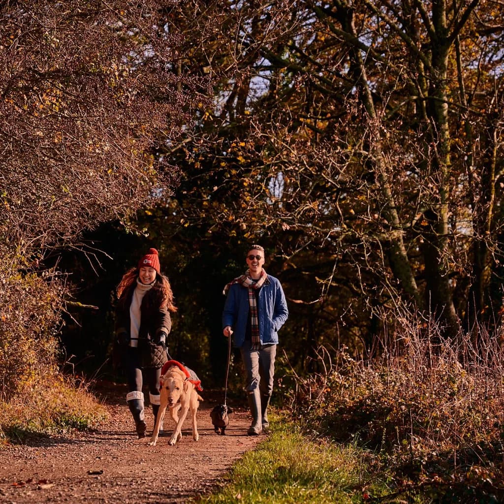 Cover Image for Join the Wolf Pack…