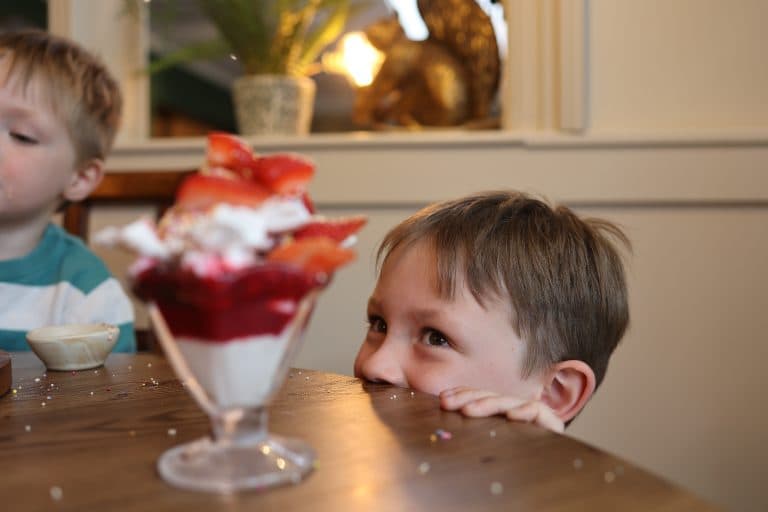 Cover Image for Your Kids Eat Free This Half Term at The White Bear